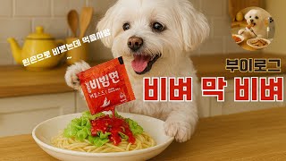 오지는 기름맛 일인자 대패삼겹살이랑 비빔면 브이로그