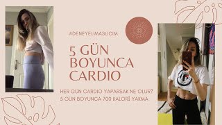 Chloe Ting Challenge II GÜNDE 700 KALORİ YAKMA CHALLENGE II 5 Günde Dümdüz Karın II#deneyelimaslicim Chloe Ting Challenge II GÜNDE 700 KALORİ YAKMA CHALLENGE II 5 Günde Dümdüz Karın II#deneyelimaslicim