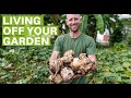 13  Survival Gardening Crops To Grow To Live Off Your Garden