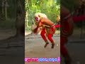 Jaya sri ramjaya hanuman shortviral odisha parampara trendiag short.