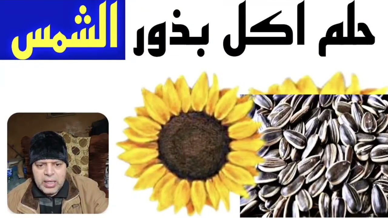 Толкование видеть во сне семена подсолнечника  Символы и выражения семени солнца