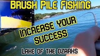 Brush Pile Bass Fishing 101 | Lake of the Ozarks