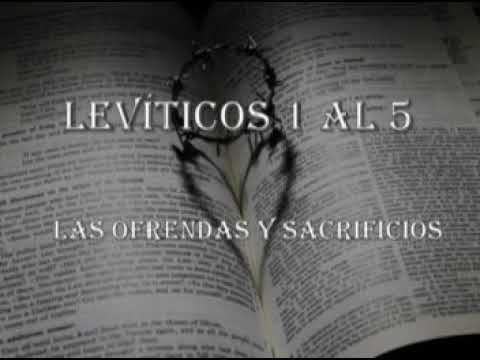 Video: ¿Cuál es la diferencia entre una ofrenda por el pecado y un holocausto en la Biblia?