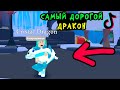 Самый дорогой дракон! Зимнее обновление в игре адопт ми! Проверка тик ток лайфхаков в адопт tik tok