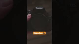 Does the Canon 600D Have Creative Filters?