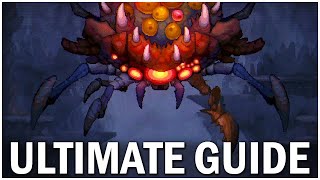 ULTIMATE Drill Core Beginner Guide - Drill Core Tips and Tricks