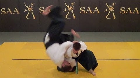 Aikido Shiho Nage ✈ Throw Variation