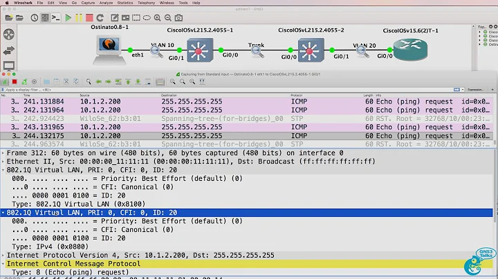 GNS3 Talks: Ostinato Packet Generator - double tag 802.1Q frames for VLAN hopping (Ostinato Part 7)