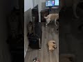 Bro Needed A Minute For Himself 
