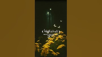 فايح الحارثي تلاوه خاشعه 🎧♥️ #تلاوة_خاشعة #اكسبلور #quran #لايك #المصحف #راحة_نفسية #دويتو #تيك_توك