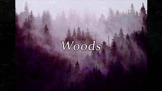 [FREE] Baby Keem x LUCKI Type Beat 2020 - "Woods" | Free Type Beat | Ugueto