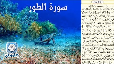 سورة الطور   شفاء الروح من كل اوجاعها #سورة الطور #القرآن الكريم