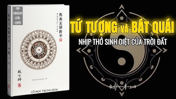 Tứ Tượng và Bát Quái Là Gì? – Cánh Cửa Giải Mã Thiên Địa, Trật Tự Âm Dương và Chu Kỳ Sinh Diệt