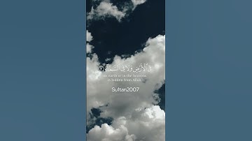 القارئ: ياسر الدوسري ❤️ سورة آل عمران من آية (٥) إلى (٦)