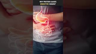 THIS IS WHY Protein Causes Digestive Issues | shorts 439