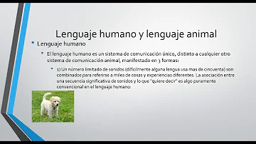 O que busca a Antropologia linguística?