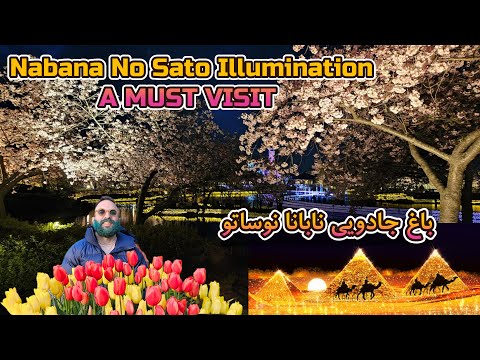 Nabana No Sato Illumination Highlights, A MUST VISIT During Japan Trip