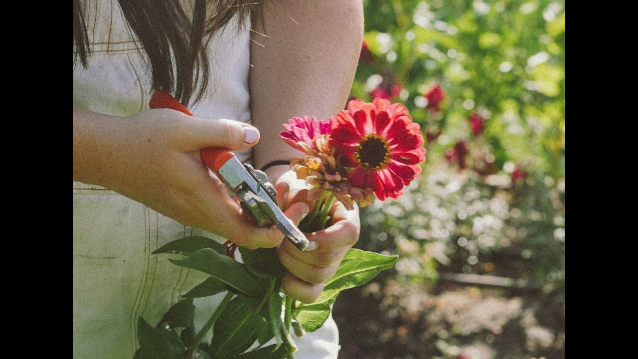 Horticulture therapy investment in Idaho Botanical Gardens