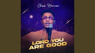 Video thumbnail of "Chris heaven - Lord You Are Good"