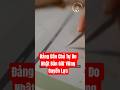 Đảng Dân Chủ Tự Do Nhật Bản Giữ Vững Quyền Lực | Thời Sự Quốc Tế Mới Nhất