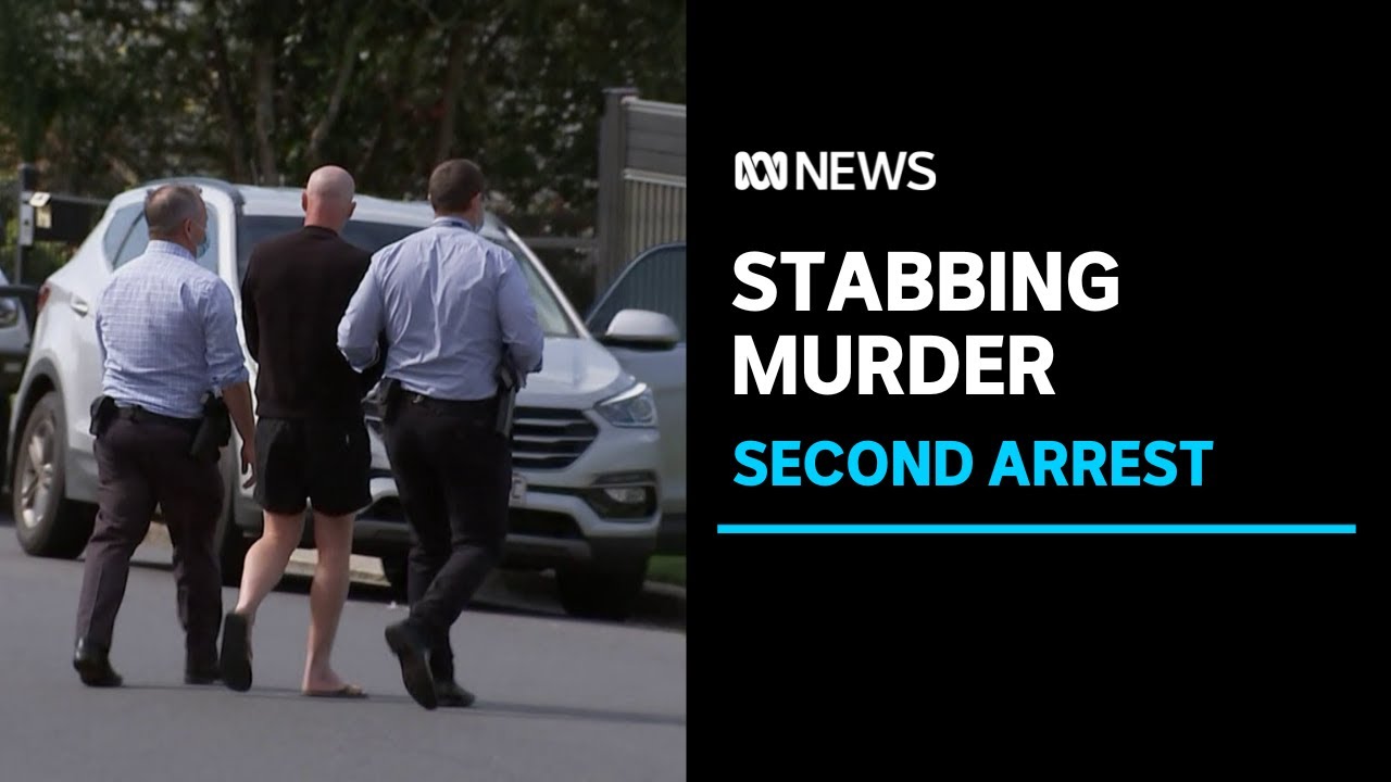 Second man in custody over stabbing death of Levi Johnson | ABC News