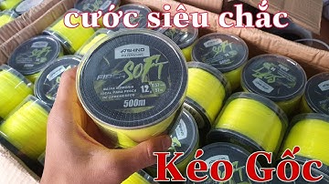 230k / Giới Thiệu & Test Cước Ashino Fiber Sort 500m Chuyên bạo lực