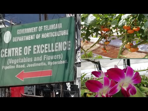 telangana horticulture