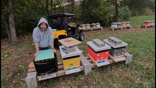 How to Help Your Bees Survive Winter | Beekeeper Setup & Supplies (Part One)