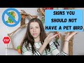 Signs you should not have a pet bird