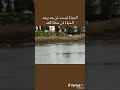 .... #لايك_اشتراك