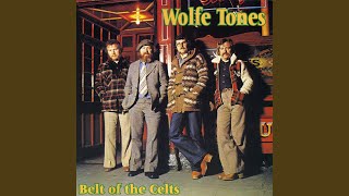 Video thumbnail of "The Wolfe Tones - The Boys of Barr Na Sraide"