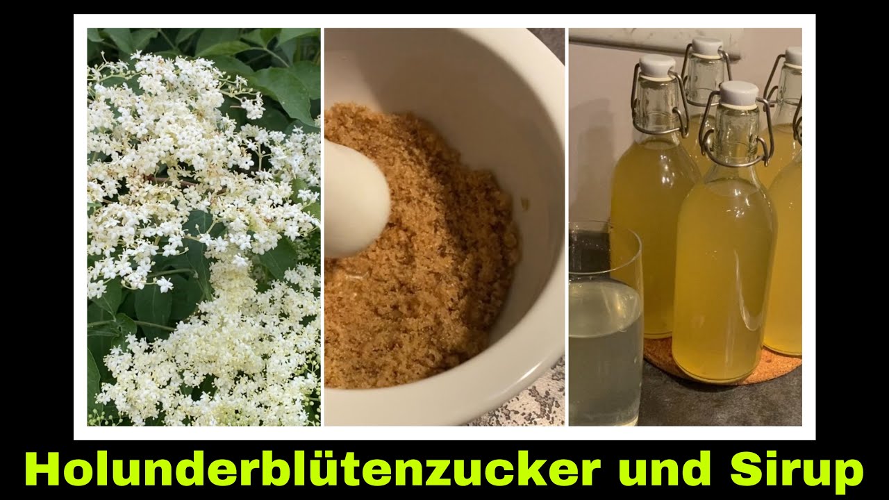 Holunderblütenzucker und Holunderblütensirup selber machen ...