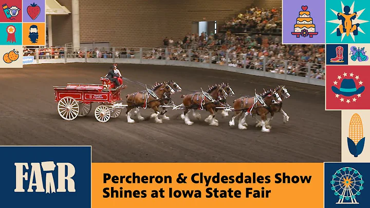 Percheron & Clydesdales Show Shines at Iowa State Fair – Fair 2025