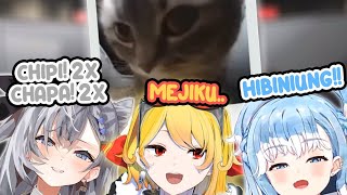 Ketika Zeta dan Kaela Nyanyi Chipi - Chapa [Vestia Zeta, Kaela Kovalskia & Kobo Kanaeru Hololive ID]