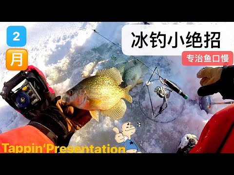 浮漂抛远Casting Test】现场实测神操作: 重漂能抛出100米？我不信邪，一抛还真吓死宝宝了Weighted Float 100m  Casting Test 