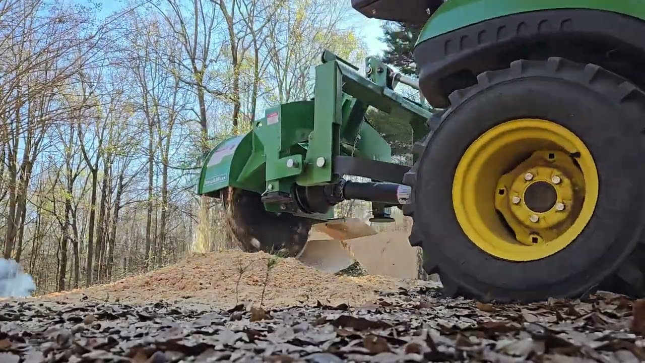 MechMaxx stump grinder on a red oak. 