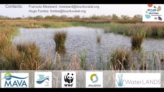 #2 Training workshop on Ecological wetland restoration for wetland managers & practitioners - DAY 2