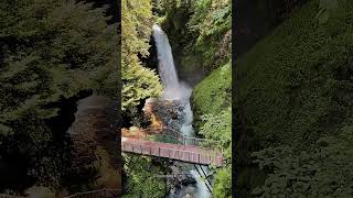 📍𝗠𝗼𝘀𝘁 𝗕𝗲𝗮𝘂𝘁𝗶𝗳𝘂𝗹 𝗣𝗹𝗮𝗰𝗲 𝗼𝗻 𝗘𝗮𝗿𝘁𝗵 😱🤩🌍  #travel #adventure #nature #explore #shorts #shortsfeed