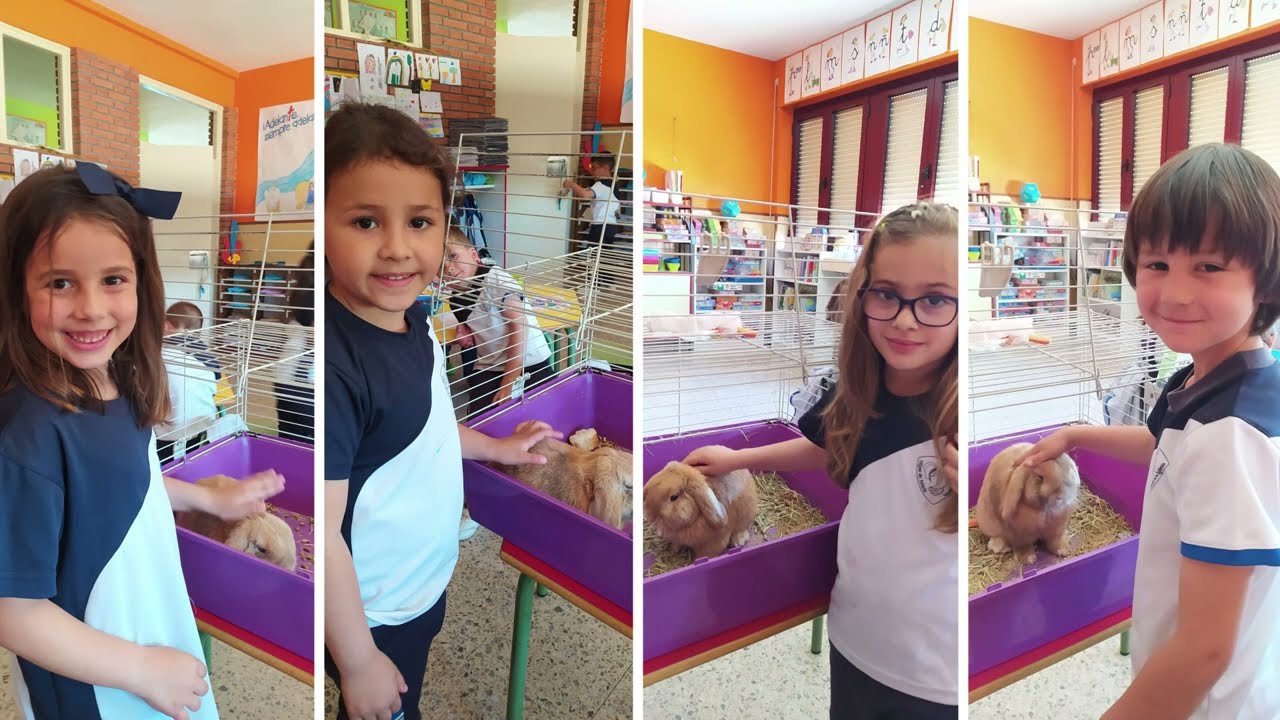 Graduación Educación Infantil 2021/2024