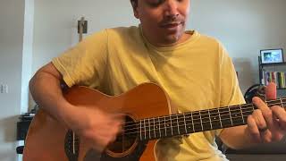 Palinopsia - Arms Length Acoustic Cover 