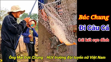 Video Ông Mai Đức Chung Câu Cá Chép. Câu Cá Sông Quê