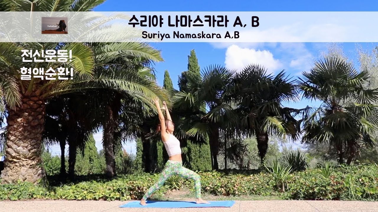 (요가은) 수리야 나마스카라 A, B / 태양경배자세 A, B ,  전신운동, 준비운동, 요가