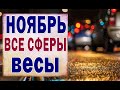 ВЕСЫ  ✅  НОЯБРЬ 2020. ( РАБОТА, ЛЮБОВЬ, ДОМ, СЮРПРИЗ, СОВЕТ). Таро прогноз гороскоп