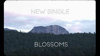 Meltt - Blossoms - NEW SINGLE [Teaser]