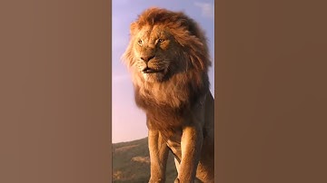 sư tử(chúa tể rừng xanh)