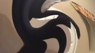 Celebrity Morph Suit Man Dances Wealth