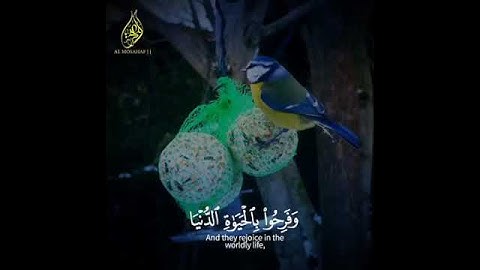 من سورة الرعد قران كريم