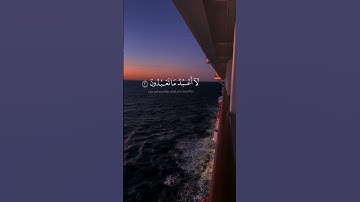 سورة الكافرون ❤#ماهر_المعيقلي