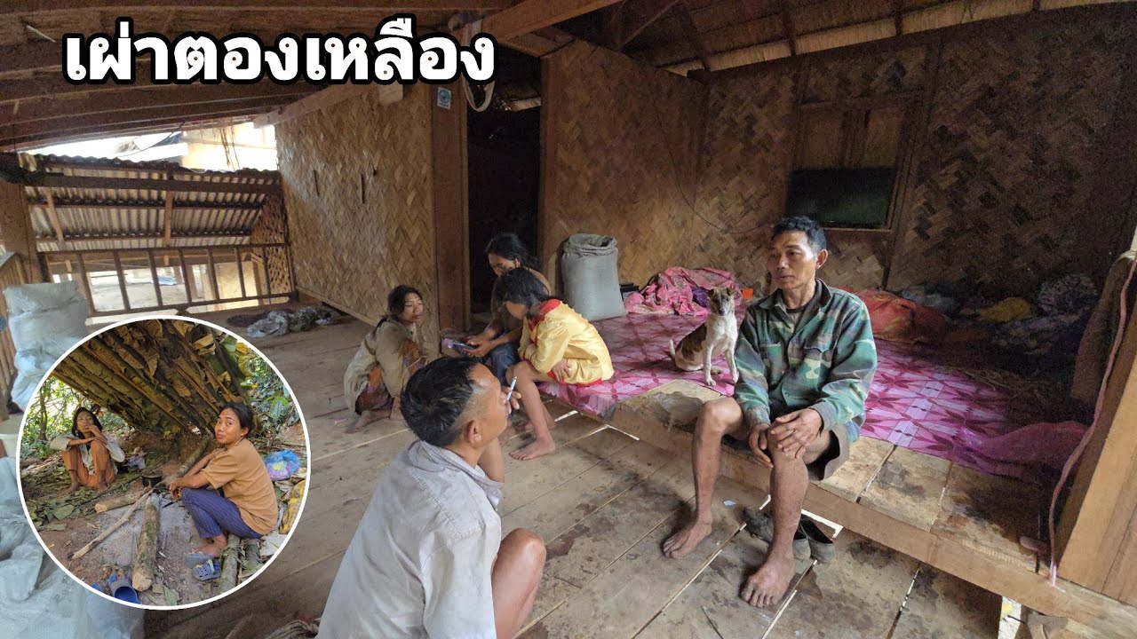 แย่แล้วมีขโมยมาปล้นบ้านเผ่าตองเหลืองอีกแล้ว คนป่า ตองเหลึอง ຄົນປ່າ ຕອງເຫຼືອງ bn saolao 