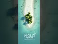 Wolf Rider Black Soul - MOLO ~ MOLO